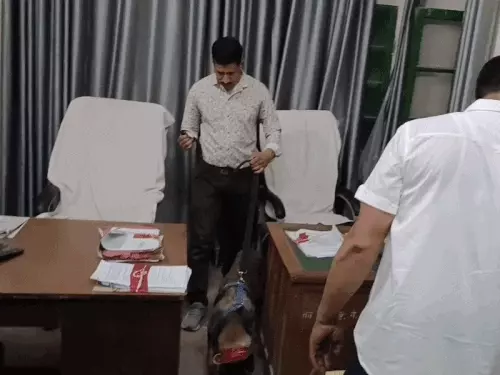 सीकर कलेक्ट्रेट को बम से उड़ाने की धमकी:16 साइनाइड बम रखने का भेजा ईमेल,जांच में कुछ नहीं मिला; IP एड्रेस ट्रेस कर रही पुलिस