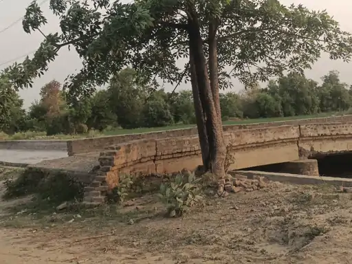 मोगा में पेड़ में उतरा करंट, दो की ली जान:गर्मी से बचने को छांव में बैठे, हाई टेंशन लाइन से हादसा, एक की कुछ दिन पहले हुई थी शादी