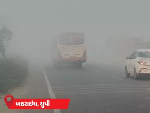 શ્રીનગરમાં માઈનસ બે ડીગ્રી તાપમાન નોંધાયુ : હિમાચલમાં ઝરણા થીજી ગયા