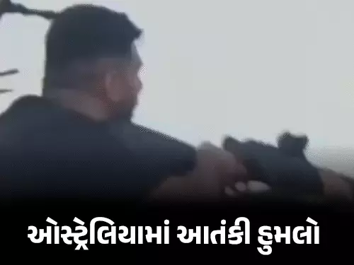 ઓસ્ટ્રેલિયામાં આતંકવાદી હુમલો કરનાર આતંકવાદી પિતા-પુત્રના મુળ પાકિસ્તાનમાં : મૃત્યુઆંક ૧૬