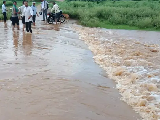 सरिस्का में टाइगर की गूंज और पहाड़ाें पर बादल की: आधे अलवर में औसत से ज्यादा बारिश हो चुकी, लेकिन आधे जिले में कम, सालों बाद बाबरिया बांध पूरा भरा