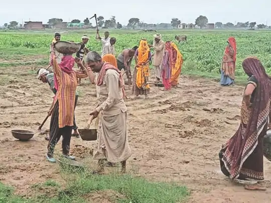 मनरेगा श्रमिकों की कल से होगी ऑनलाइन हाजिरी, मस्टररोल में गड़बड़ी रुकेगी