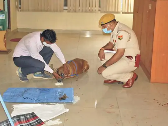 फाइनेंस कंपनी में दिनदहाड़े लूट का प्रयास, सायरन बजने से बच गया 9 कराेड़ का साेना