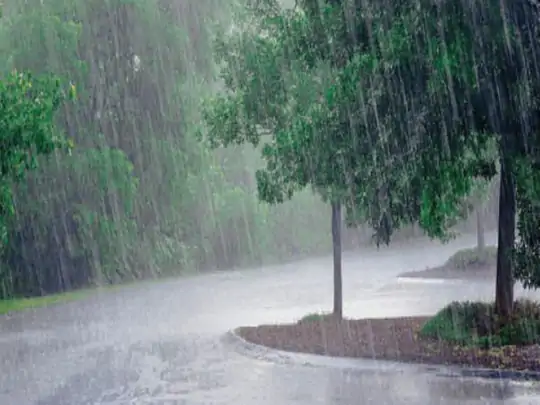 तेज गर्मी के बाद बरसात से मिली राहत, खेतों में खड़ी फसल को जीवनदान मिला