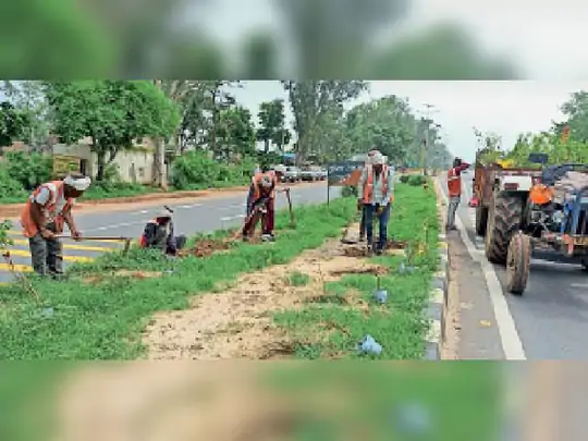 भुसावर को हरा-भरा करने को लेकर वन विभाग ने किए 26 हजार पौधे तैयार